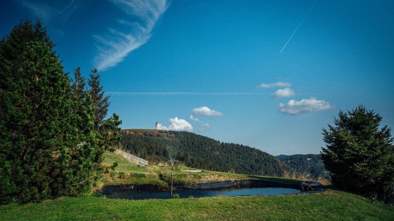 Berggasthof Zur Todtnauer Huette Feldberg  Eksteriør billede