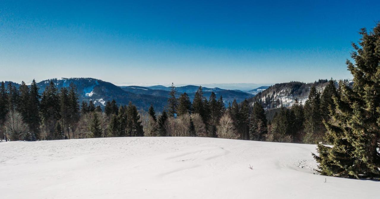 Berggasthof Zur Todtnauer Huette Feldberg  Eksteriør billede