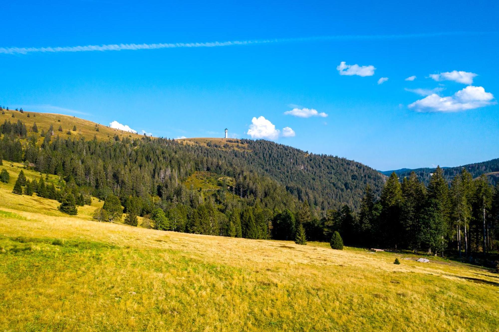 Berggasthof Zur Todtnauer Huette Feldberg  Eksteriør billede
